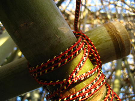 Exploring place and experience: 24 hours (in four parts) | Part one - Big Bambu