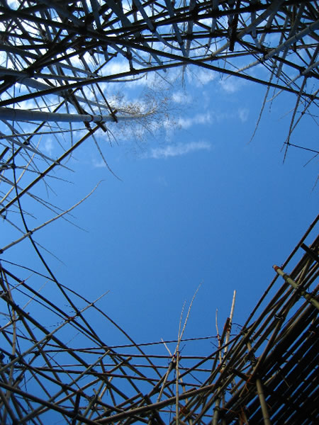 Exploring place and experience: 24 hours (in four parts) | Part one - Big Bambu