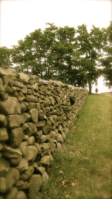 Exploring place and experience: 24 hours | Part two - Storm King Arts Center