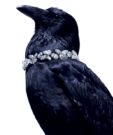 RAVENS, TOM FORD, EYEWEAR AND BRAND MYTH: THE LEGACY OF THE CORVID IN RETAIL BRANDSTORY AND MERCHANDISING.