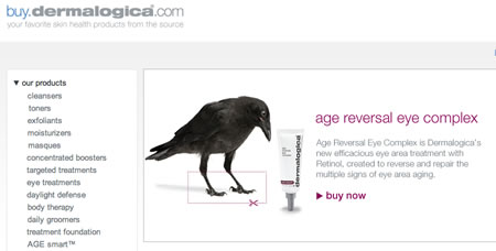 Ravens + Dermalogica: Brand allegories with Corvids