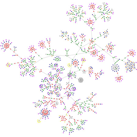 Search visualizations: search and recognition