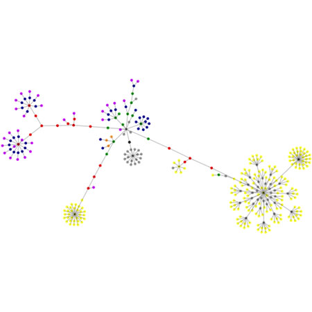 Search visualizations: search and recognition