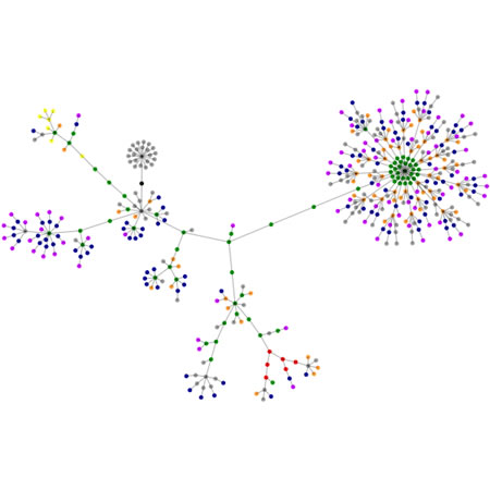 Search visualizations: search and recognition