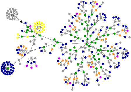 Search visualizations: search and recognition