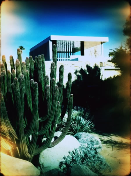 Palm Springs Designed Modernism