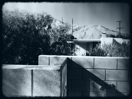 Palm Springs Designed Modernism