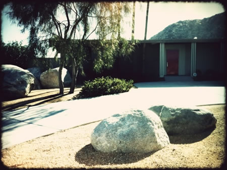 Palm Springs Designed Modernism