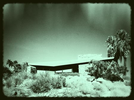 Palm Springs Designed Modernism