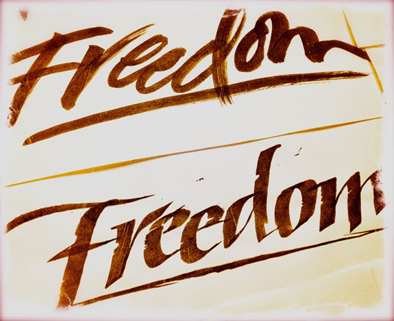 Strokes of Goodness, The Freedom Signature