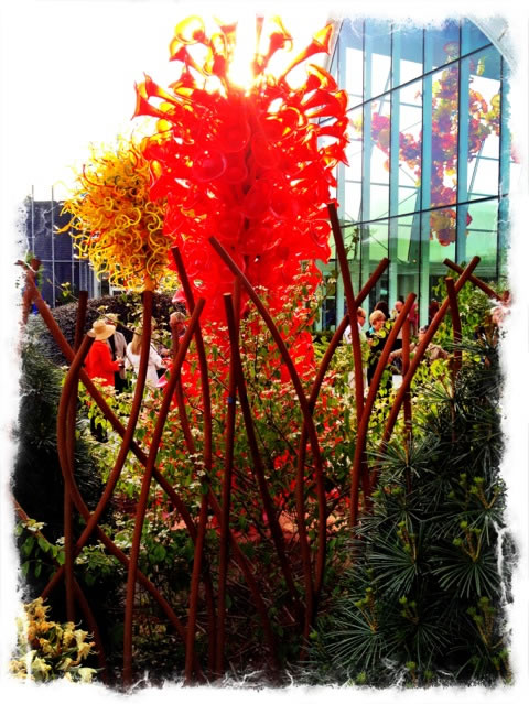 Finding the brand soul of Chihuly