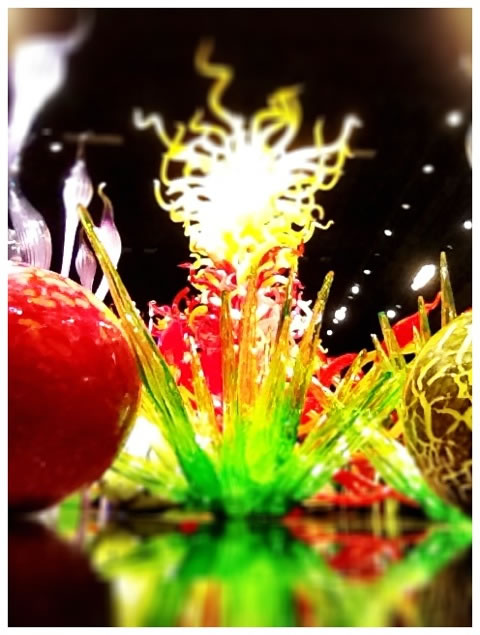 Finding the brand soul of Chihuly