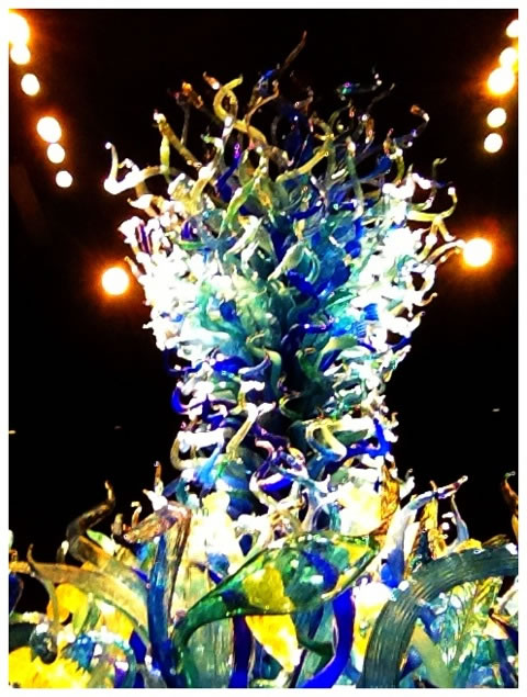 Finding the brand soul of Chihuly