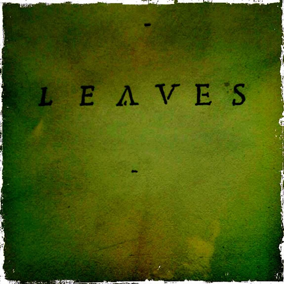 THE LEAVES OF A BOOK, THE TREES OF LEAVES