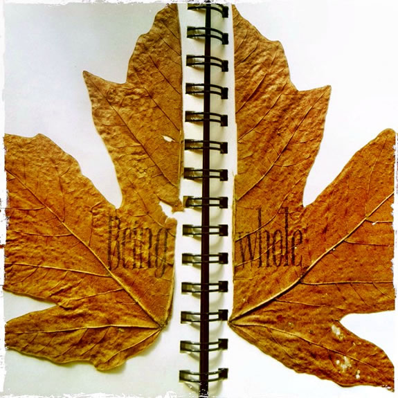 THE LEAVES OF A BOOK, THE TREES OF LEAVES