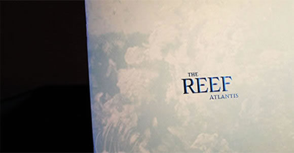 Kerzner The Reed Merchandising