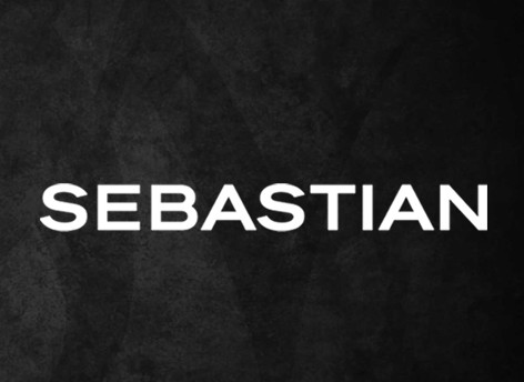 Sebastian Professional Logo