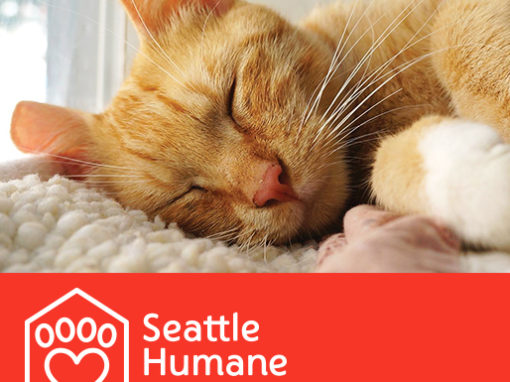 Seattle Humane