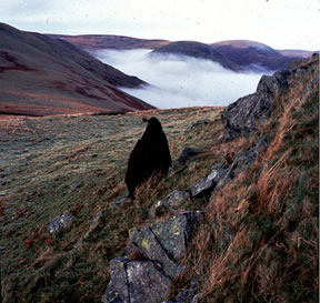 EARTH MADE HARD: WALKING THE LONG WAY TO THE CENTER OF THE EARTH: ANDY GOLDSWORTHY