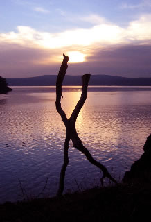 EARTH MADE HARD: WALKING THE LONG WAY TO THE CENTER OF THE EARTH: ANDY GOLDSWORTHY