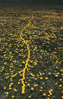 EARTH MADE HARD: WALKING THE LONG WAY TO THE CENTER OF THE EARTH: ANDY GOLDSWORTHY