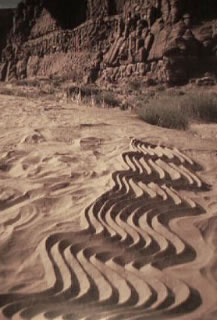EARTH MADE HARD: WALKING THE LONG WAY TO THE CENTER OF THE EARTH: ANDY GOLDSWORTHY
