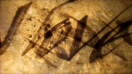 A Visit with Jorge Luis Borges