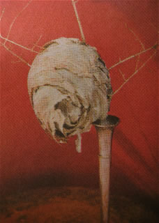 WEAVING IDEAS | THE SYMBOLISM OF THE NEST