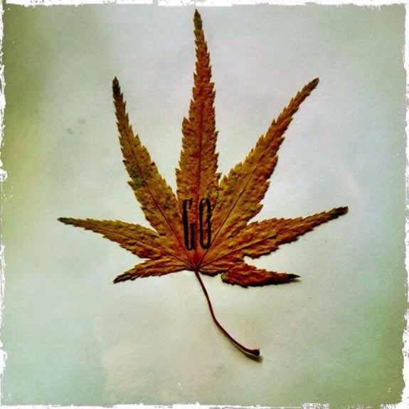 THE SYMBOLISM OF THE TREE