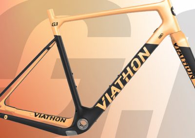 Viathon