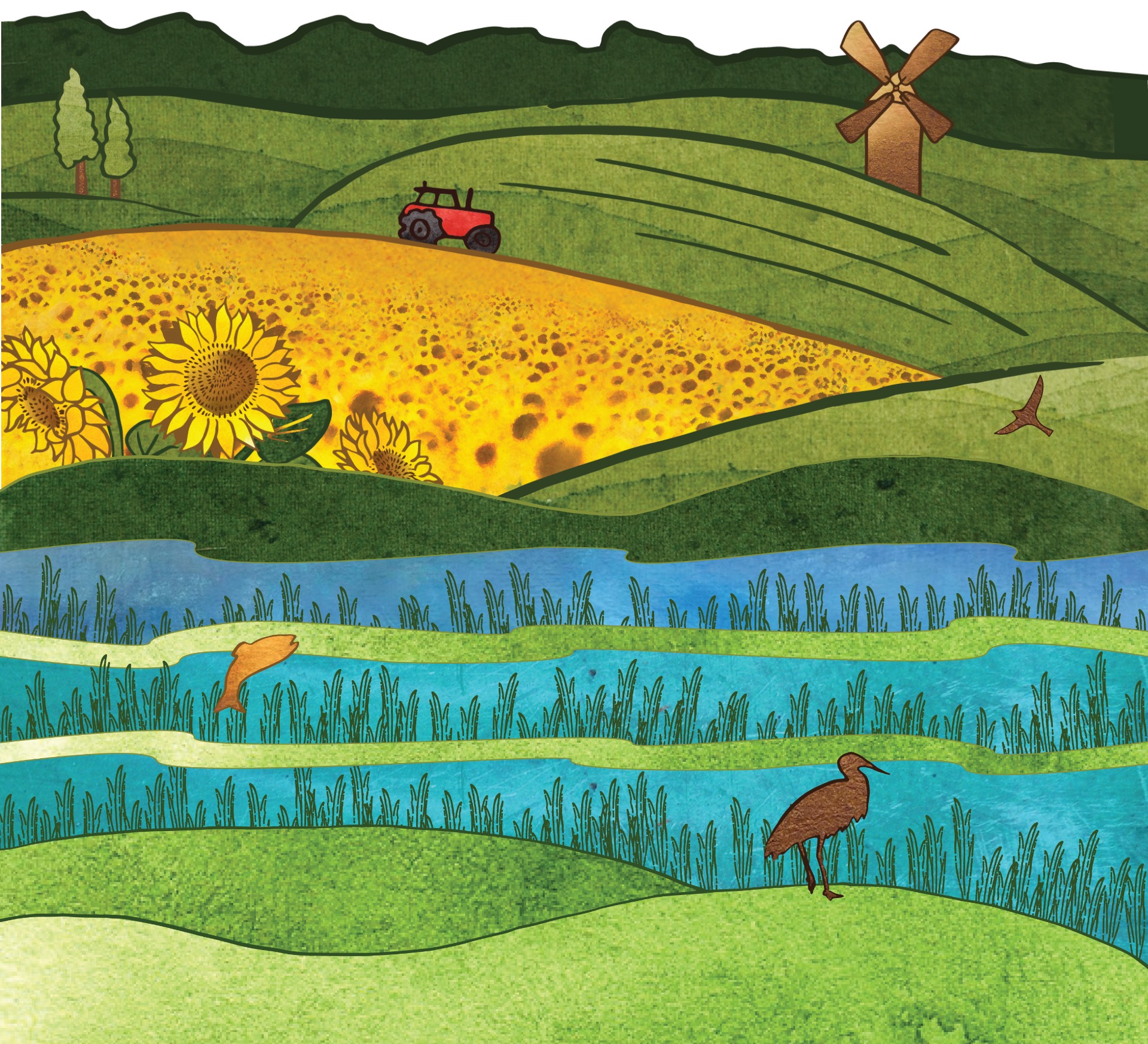 mgc-farm-rice-lands