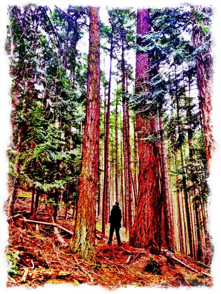 Deep Reading: The Meaning Behind the Message