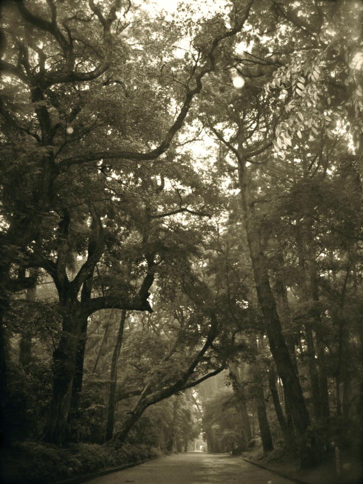 Deep Reading: The Meaning Behind the Message