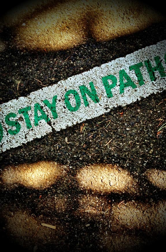 Deep Reading: The Meaning Behind the Message