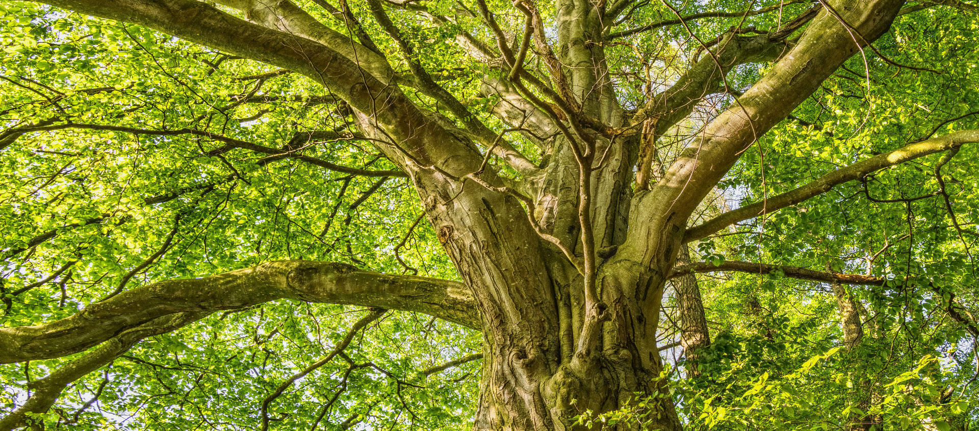 second-nature-hero-image