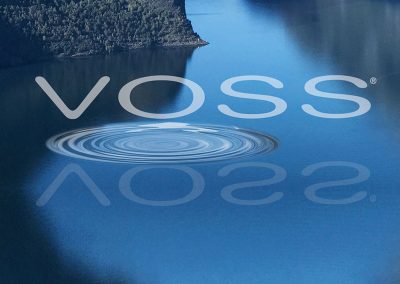 Voss