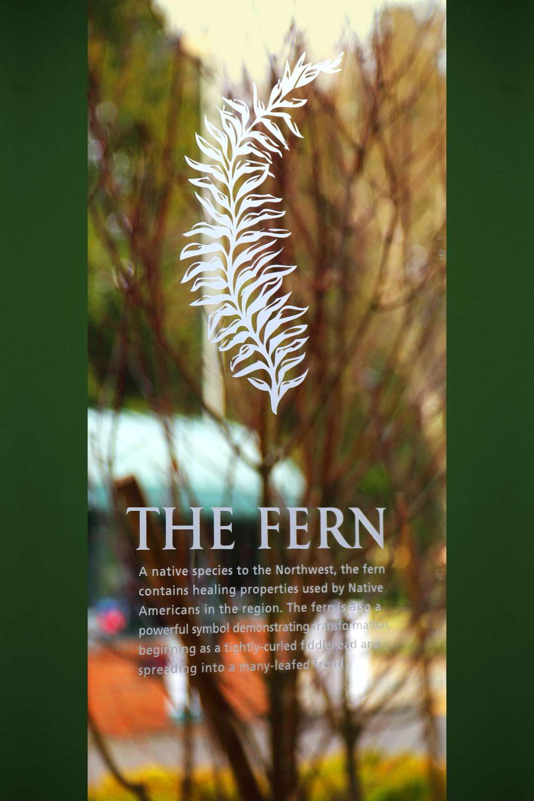 scca-2021-fern-image