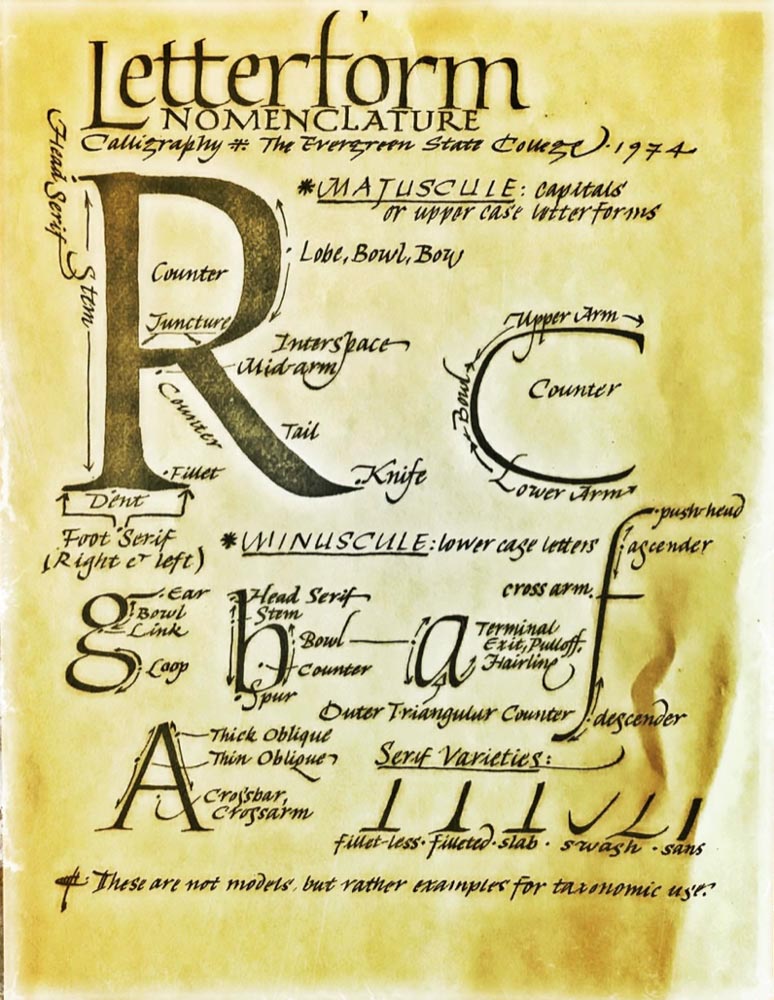 BESPOKE BRAND VISUALIZATIONS | THE TYPOLOGIES OF THE LETTERFORM