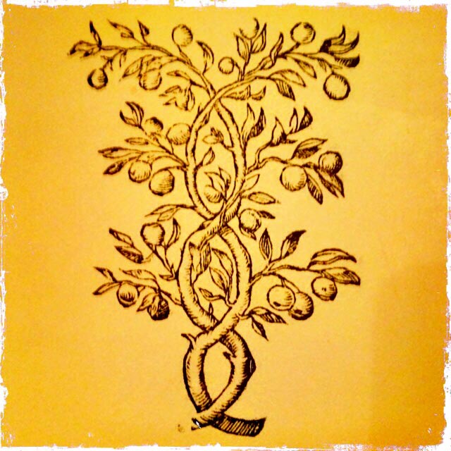 INSPIRATIONAL BRAND STRATEGY | EXPLICATING SOUL IN DESIGNING UNFORGETTABLE BRANDS