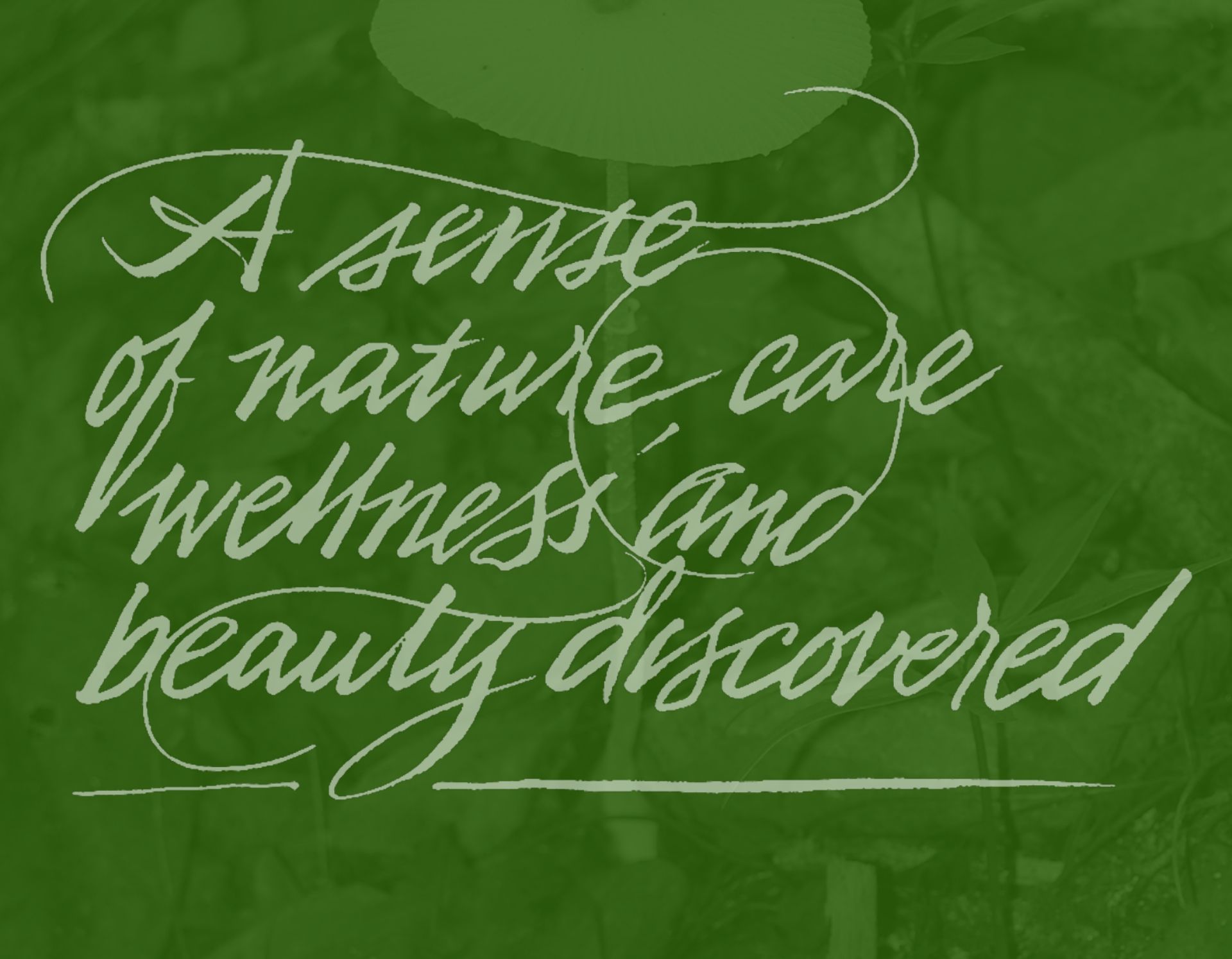fungi-perfecti-bottom-script-2023