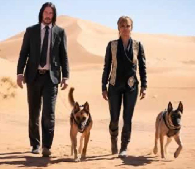 The dreamer is the whole dream, the deep archetypes of John Wick