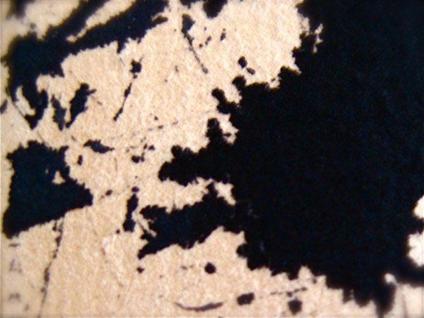 The Wisdom of Ink | The Art of What’s Drawn and the Space That Lies In-Between