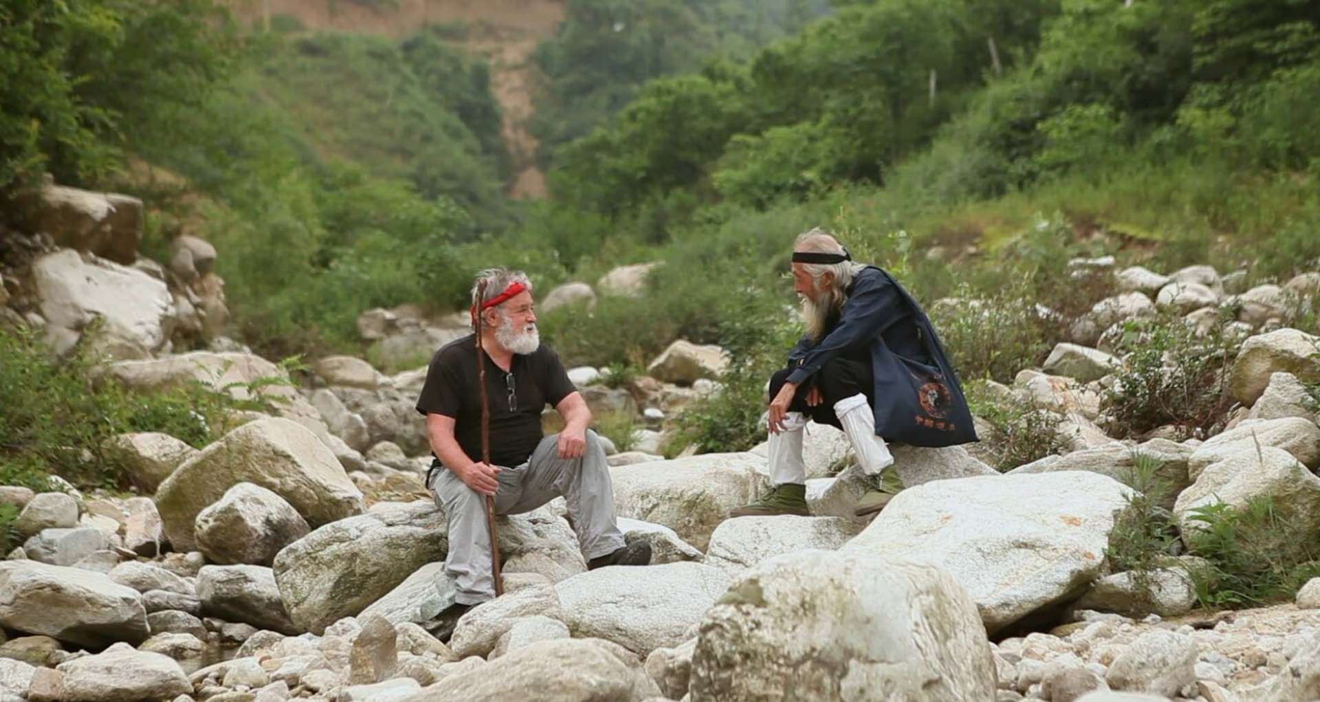 red-pine-sitting-on-rocks