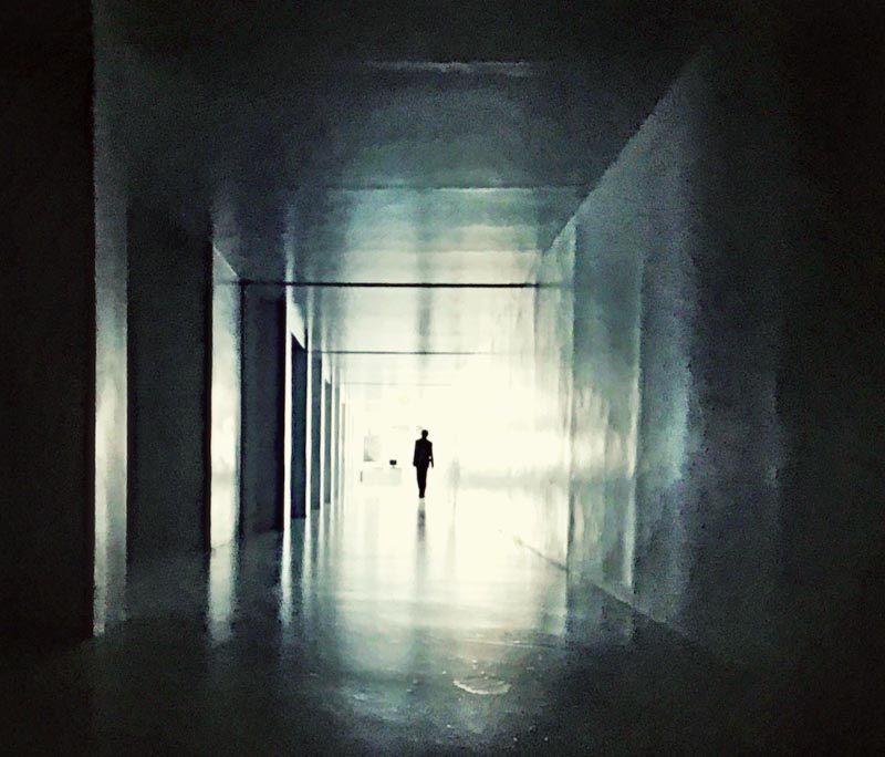 The Light Inside the Brand