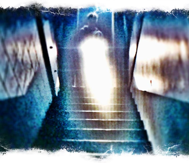 The Light Inside the Brand