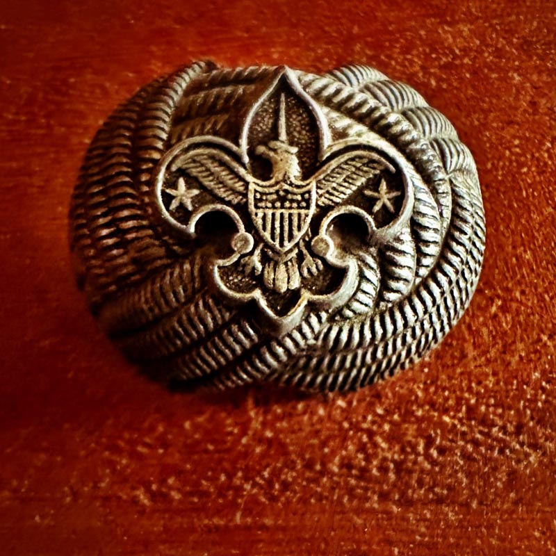 Letters from an Eagle Scout