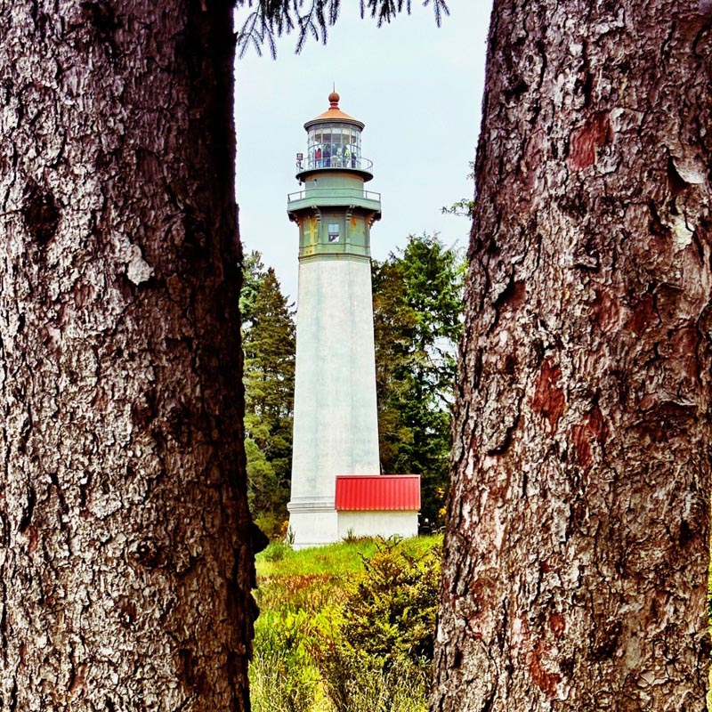 The Brand As Beacon | Symbolism and Allegory