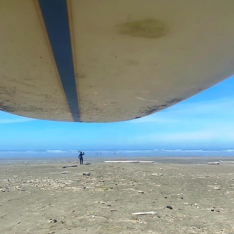 The BrandQuest® for the Wave | Trends, Surfing Allegories, and the Soul of the Sea