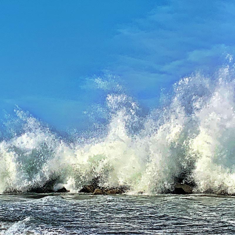 The BrandQuest® for the Wave | Trends, Surfing Allegories, and the Soul of the Sea