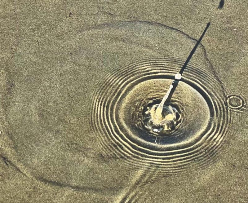 The Curve of Time and the Rippling of the Idea